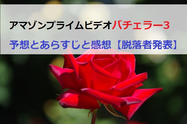 バチェラーシーズン3予想とあらすじと感想 脱落者発表 ショウリブログ