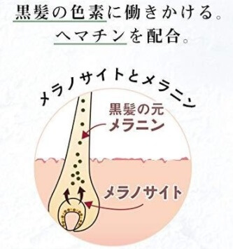 Haruシャンプー妻が5年使った評価と口コミ 白髪予防に効果ある ショウリブログ