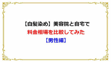 白髪染め 美容院と自宅で料金相場を比較してみた 男性編 ショウリブログ