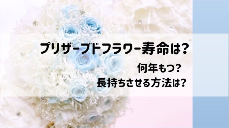 プリザーブドフラワー寿命は 何年もつ 長持ちさせる方法は ショウリブログ