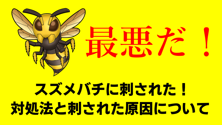 最悪だ スズメバチに刺された 超痛い 対処法と刺された原因について語る ショウリブログ